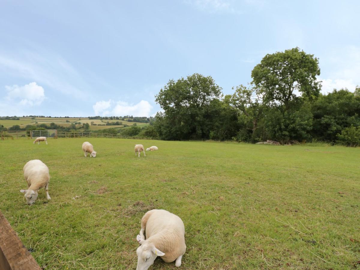 Holmer Farm Leominster Eksteriør billede